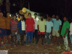 वन विभाग का एक्शन: सुकमा में अवैध सागौन तस्करी पकड़ी, लाखों का माल जब्त