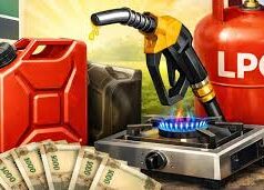 देश में एलपीजी और कच्चे तेल की उपलब्धता को लेकर सरकार ने किया बड़ा अपडेट, टेंशन लेने की नहीं है जरूरत..