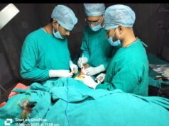 मनेंद्रगढ़ 220 बिस्तर अस्पताल में तीन माह में 1500+ मरीजों का सफल उपचार, गंभीर मरीजों को मिली राहत, बढ़ा भरोसा…