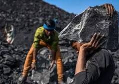 सरकार का बड़ा फैसला LPG गैस की कमी दूर करेगा ‘कोयला’, बिहार में राशन की दुकानों पर मिलेगा…