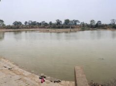 मांड नदी का जल पहुंचा चपले के खेत-खलिहानों तक, बिना बिजली सिंचाई से बदली तस्वीर