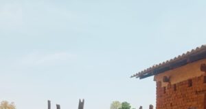 भीषण गर्मी में ग्रामीणों को मिली बड़ी राहत: भरतपुर के कई गाँवों में खराब हैंडपंप हुए दुरुस्त