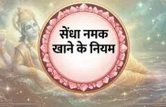 वरुथिनी एकादशी पर नमक खाया तो क्या टूट जाएगा व्रत? पढ़ें पद्म पुराण की चेतावनी और सही नियम