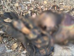 जंगल में मिली सड़ी गली लाश, इलाके में फैली सनसनी