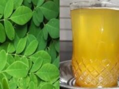 पिएं सहजन की पत्तियों का पानी, हाई ब्लड शुगर लेवल को कंट्रोल करने में मददगार, मिलेंगे फायदे ही फायदे