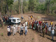 सीतानदी कोर क्षेत्र में वन विभाग का एक्शन: वन्य आवास को नुकसान पहुंचाने पर 22 आरोपी गिरफ्तार