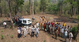 सीतानदी कोर क्षेत्र में वन विभाग का एक्शन: वन्य आवास को नुकसान पहुंचाने पर 22 आरोपी गिरफ्तार