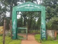 महुआ बीनने गए ग्रामीण को हाथी ने उतारा मौत के घाट, क्षेत्र में दहशत