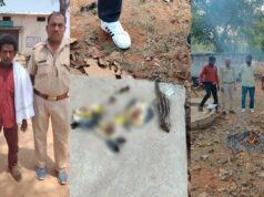 बलरामपुर में अवैध शिकार का भंडाफोड़! 5 आरोपी गिरफ्तार, एक फरार