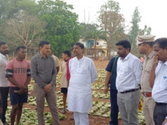 वन मंत्री केदार कश्यप ने दहिकोंगा तेंदूपत्ता फड़ का किया निरीक्षण