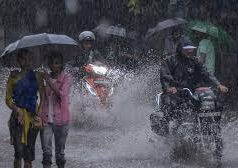 छत्तीसगढ़ में मानसून की रफ्तार तेज, 7 दिन भारी बारिश के आसार, कई जिलों में यलो अलर्ट