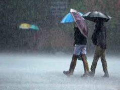UP-बिहार और राजस्थान में बारिश, कैसा रहेगा MP-दिल्ली का मौसम? IMD ने जारी किया अलर्ट…