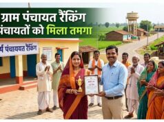 पंचायत विकास सूचकांक में बालोद की झलमला पंचायत बनी प्रदेश की नंबर-1 पंचायत