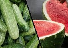 गर्मी में तरबूज या खीरा? जानिए शरीर को ज्यादा हाइड्रेट कौन रखता है
