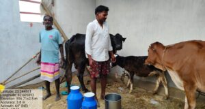 मनरेगा की मदद से बदली किसान मंगलसाय की तकदीर, डेयरी व्यवसाय से बढ़ी आमदनी