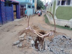 मनेंद्रगढ़ में गैस पाइपलाइन कार्य बना हादसों का कारण,खुले गड्ढे में गिरी गाय, बाल-बाल बची जान