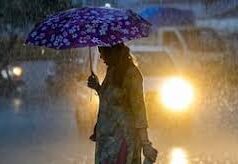पटना के कुछ इलाकों में अगले 2 से 3 घंटे में तेज हवा, बारिश और वज्रपात की संभावना, IMD ने जारी किया अलर्ट…