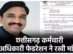 छत्तीसगढ़ कर्मचारी-अधिकारी फेडरेशन ने वेतन आयोग के सामने रखीं अहम मांगें