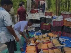 ऑपरेशन आघात में बड़ी सफलता: पिकअप वाहन से 2 क्विंटल गांजा बरामद, तस्कर गिरफ्तार