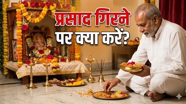 WhatsApp Image 2026-05-15 at 11.11.56 AM