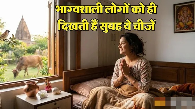 WhatsApp Image 2026-05-18 at 11.40.53 AM (1)
