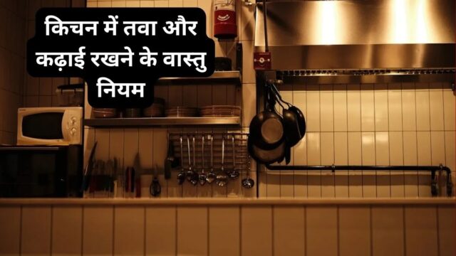 WhatsApp Image 2026-05-25 at 1.03.17 PM