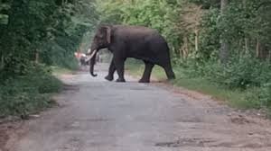 WhatsApp Image 2026-05-25 at 1.45.33 PM
