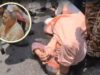 हुगली में TMC-BJP कार्यकर्ताओं के बीच भिड़ंत, सांसद कल्याण बनर्जी घायल