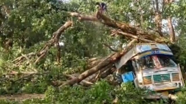 WhatsApp Image 2026-05-31 at 2.24.45 PM