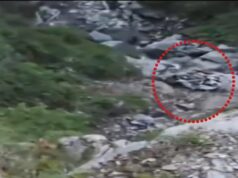खुशी का सफर बना मातम: हिमाचल में कार खाई में गिरने से 8 लोगों की दर्दनाक मौत, भिलाई का परिवार भी शामिल