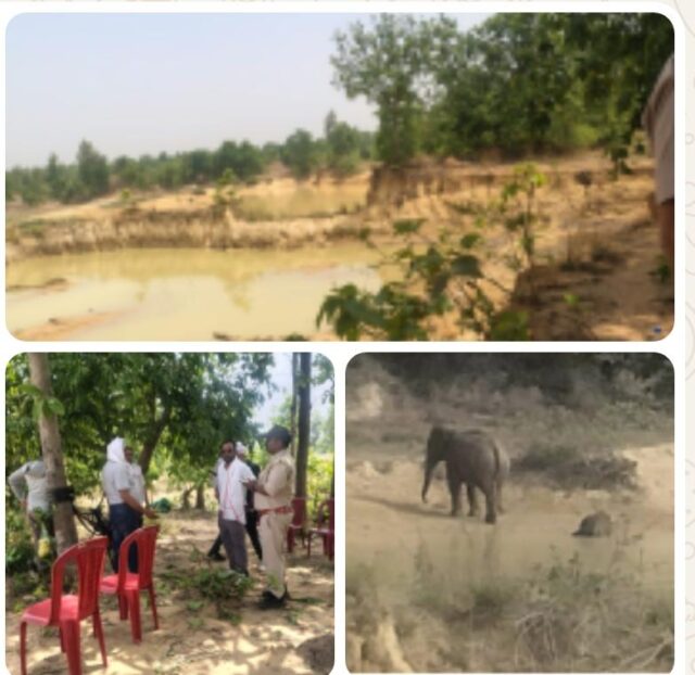 van vibhag raigadh 24 may 222