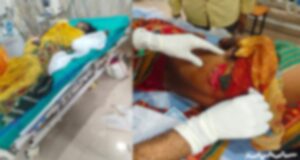 डोंगरगढ़ में जंगली सूअर का आतंक, 5 महिलाएं गंभीर रूप से घायल