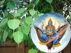 शनिवार को पीपल की पूजा का रहस्य, आखिर क्यों मानी जाती है इतनी शुभ?