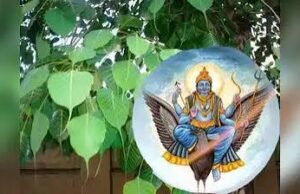 शनिवार को पीपल की पूजा का रहस्य, आखिर क्यों मानी जाती है इतनी शुभ?