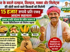 धान के बदले दलहन, तिलहन, मक्का और मिलेट्स की खेती करने वाले किसानों को मिलेगी 15 हजार प्रति एकड़ आदान सहायता