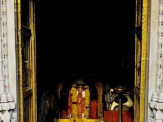 इस मंदिर में रहते हैं 25,000 चूहे, गलती से भी मर जाए एक… तो चढ़ाना पड़ता है सोने का चूहा!