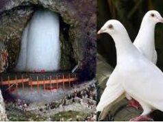 क्या है अमरनाथ गुफा में दो कबूतरों का रहस्य, जिसे भी दिख जाए जीवन हो जाता है धन्य, मिलता है मोक्ष का आशीर्वाद