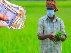 सरकार ने खाते में डाले 200 करोड़ रुपए, बिहार के किसानों को मिला बपंर तोहफा…