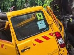 मुंबई में दर्दनाक हादसा से मची अफरा-तफरी ,स्कूल बस पर पेड़ गिरने से एक छात्र की मौत; 4 बच्चे घायल..