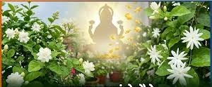 WhatsApp Image 2026-06-01 at 1.11.29 PM