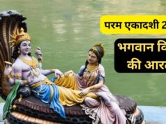 परम एकादशी 2026: पूजा के बाद जरूर करें भगवान विष्णु की यह आरती, पूरी होंगी मनोकामनाएं