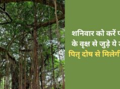 शनिवार को करें पीपल से जुड़े 4 उपाय, पितृ दोष से मिलेगी मुक्ति और जाग उठेगा भाग्य