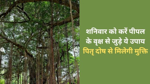 WhatsApp Image 2026-06-13 at 7.36.33 AM