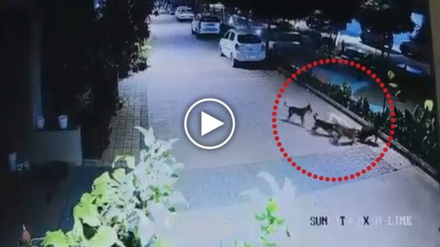 WhatsApp Image 2026-06-20 at 3.16.53 PM