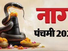 कब है नाग पंचमी 2026? जानें सांपों को समर्पित इस महापर्व का शुभ मुहूर्त, महत्व और पूजा विधि