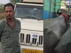 डोंगरगढ़ में भैंसों से भरी पिकअप रोककर चालक से मारपीट, डेयरी संचालक से 1 लाख रुपये उगाही का आरोप