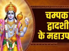 चम्पक द्वादशी आज, श्रीहरि को चढ़ाएं चम्पा के फूल और करें ये महाउपाय, हर इच्छा होगी पूरी