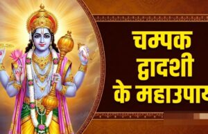 चम्पक द्वादशी आज, श्रीहरि को चढ़ाएं चम्पा के फूल और करें ये महाउपाय, हर इच्छा होगी पूरी
