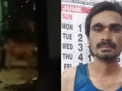तखतपुर में गौवंश के साथ कथित अप्राकृतिक कृत्य का मामला, आरोपी गिरफ्तार