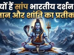 शिव के गले से लेकर विष्णु के आसन तक: जानिए भारतीय दर्शन में सांपों का गहरा अर्थ